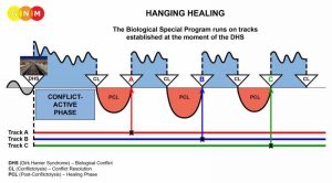 Every chronic disease is caused by conflict relapses of a particular biological specialprogram. Name the chronic disease in the comments and I’ll explain the typical stress you need to resolve, to resolve your symptoms. Nature does nothing uselessly - Aristotle #gnm