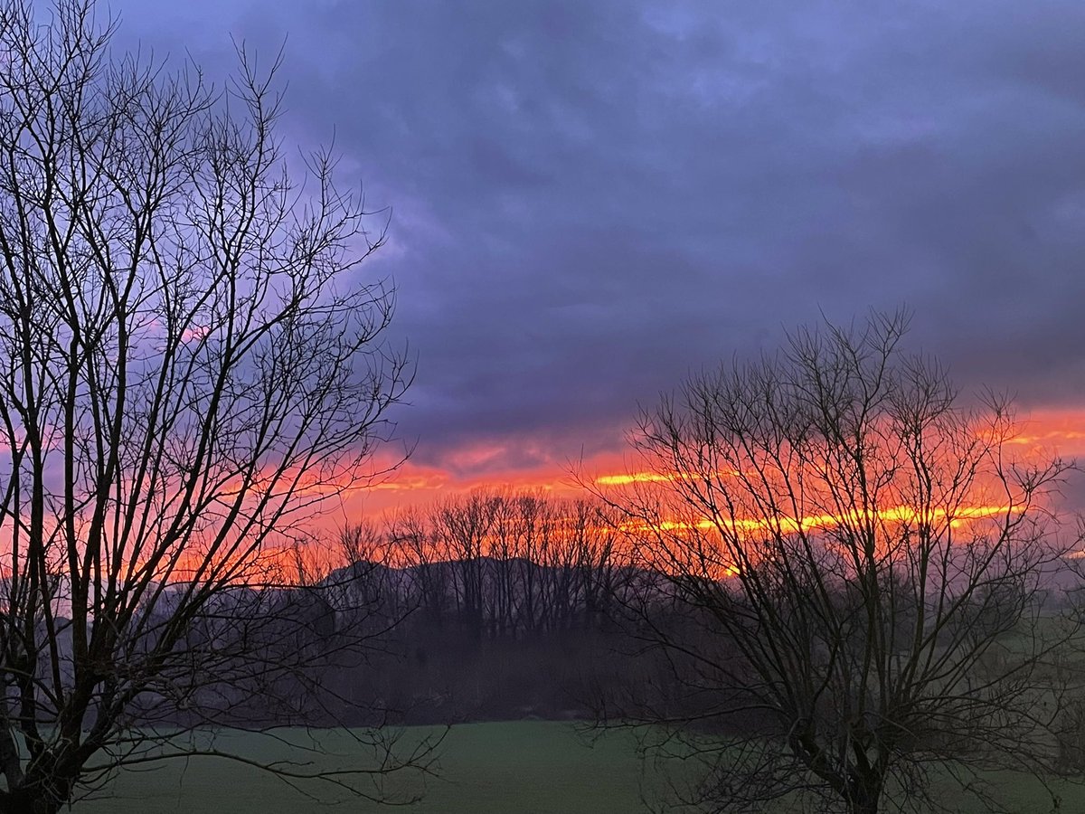 Ha plogut tot el dia