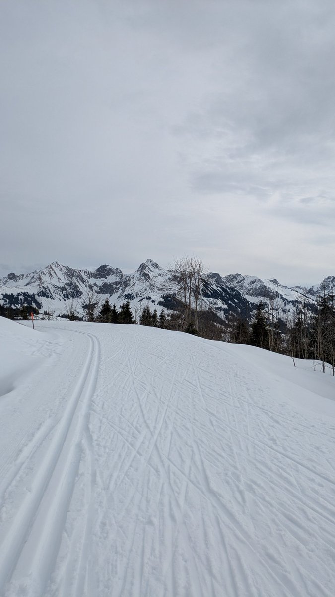 I can't say I was a particularly natural cross country skier based on my first attempt 😅 however after a rough 20 minutes and a steep learning curve, we got there in the end