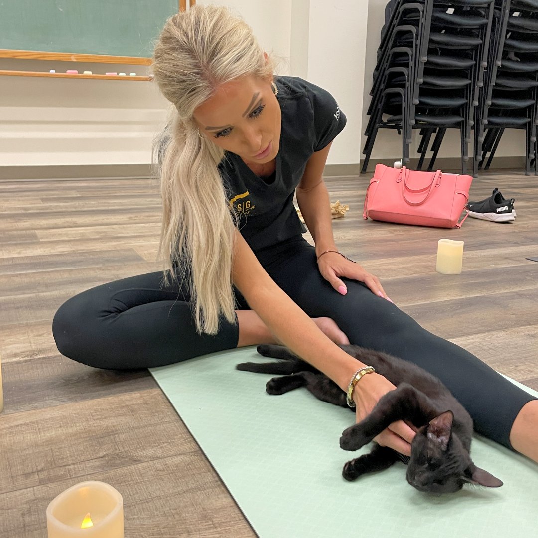 You don't want to miss our March Namastray Yoga sessions 📷📷📷

Begin filling up your spring calendars with our upcoming Namastray yoga sessions (3/1/25 and 3/10/25)! 📷

Sign up to reserve your spot!

Sign-ups: bit.ly/341CgXa

#catdepotsaveslives #namastrayyoga