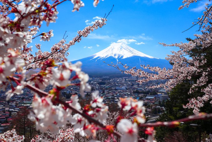 Look at this pic I took when I went to Japan in 2019 ? I can’t wait to go back in only a few months ??✨