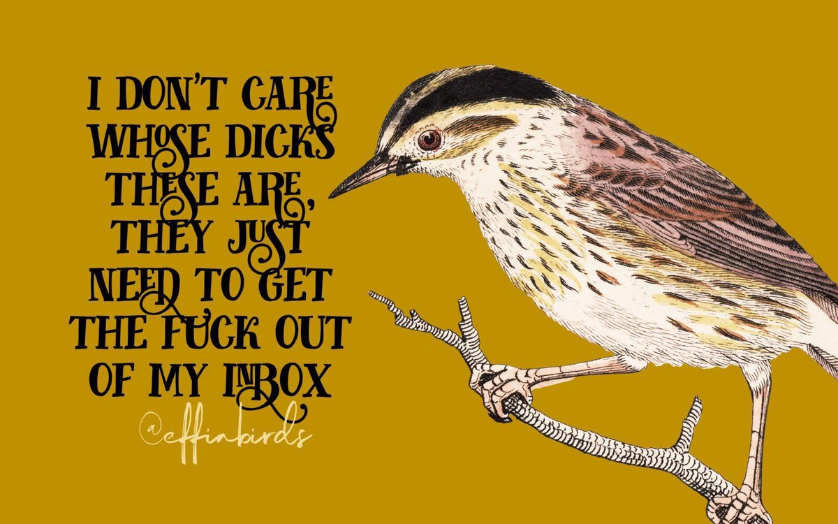 Y’all gotta follow <a href="/EffinBirds/">Effin' Birds</a>