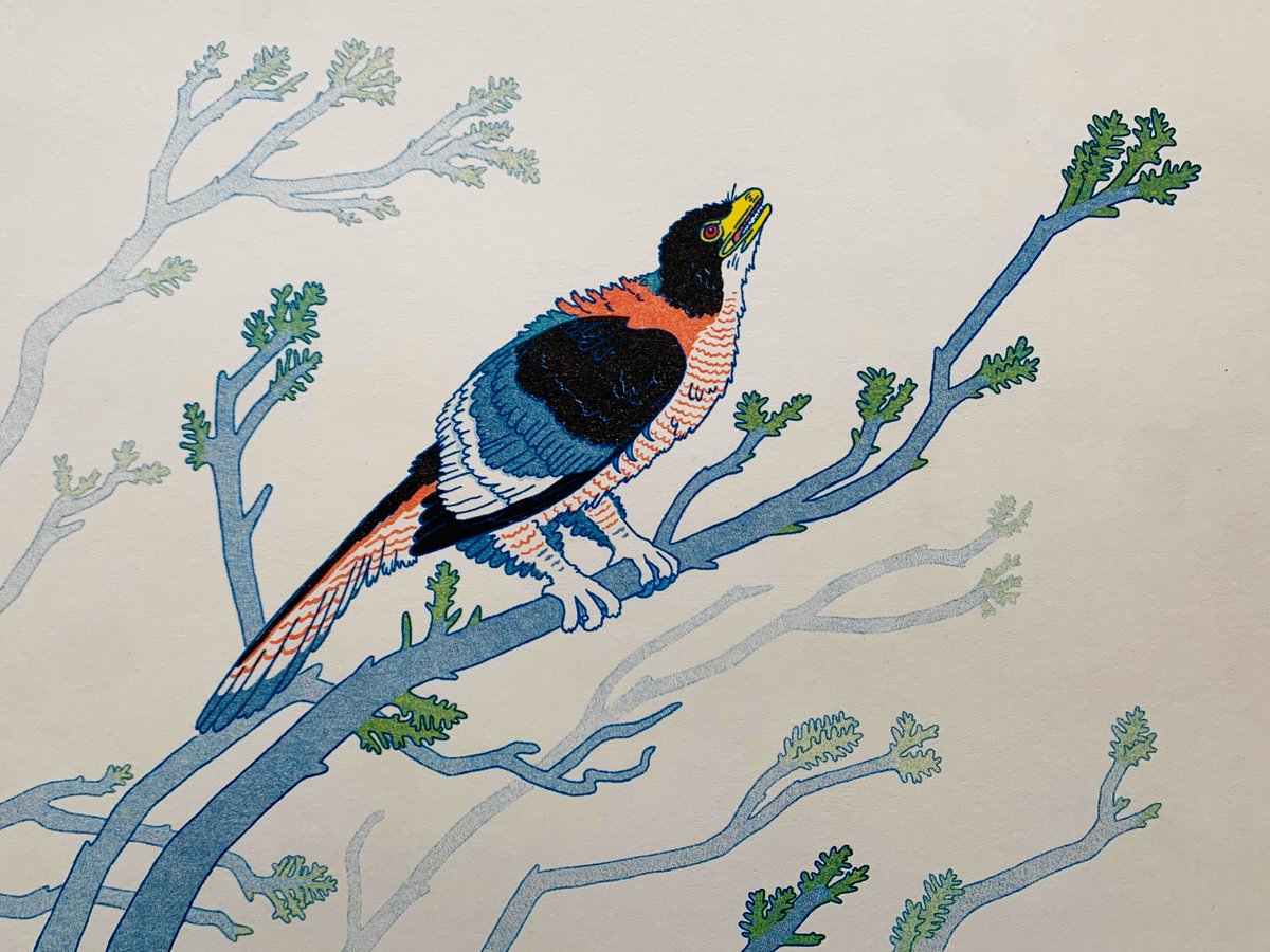 Archaeopteryx on a foggy morning. It's been a while since my last piece of paleoart!