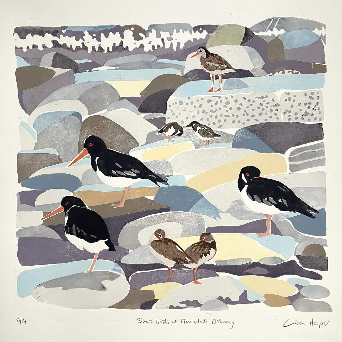 Lisa Hooper SWLA (@lisahooper20) on Twitter photo My latest linocut of Shore Birds at Mar Wick,  Orkney My latest linocut of Shore Birds at Mar Wick,  Orkney