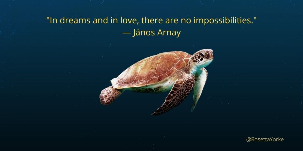 "In dreams and in love, there are no impossibilities."
— János Arnay

So write your story, #turtlewriters! Love it, and if you follow your dreams, nothing is impossible! 🙂🐢❤️ Good luck with your WIP!🍀 ((hugs)) 
#WritingCommunity #amwriting #writers