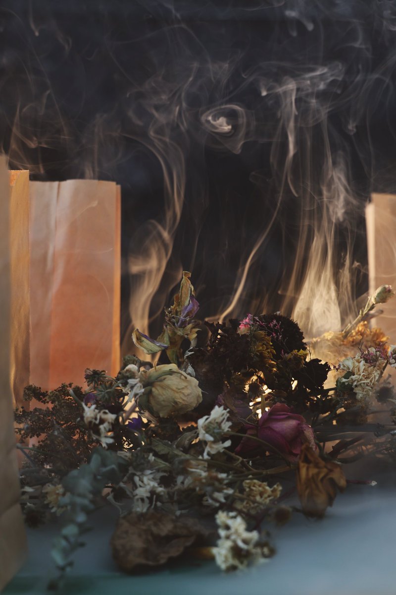 1 have just co11ected "_glow" by <a href="/growthrev/">_growth revolution |</a> on <a href="/objktcom/">objkt.com</a> 

Just a _glow will remain. The meadow is our safe place to land.

objkt.com/tokens/KT1L3LX…