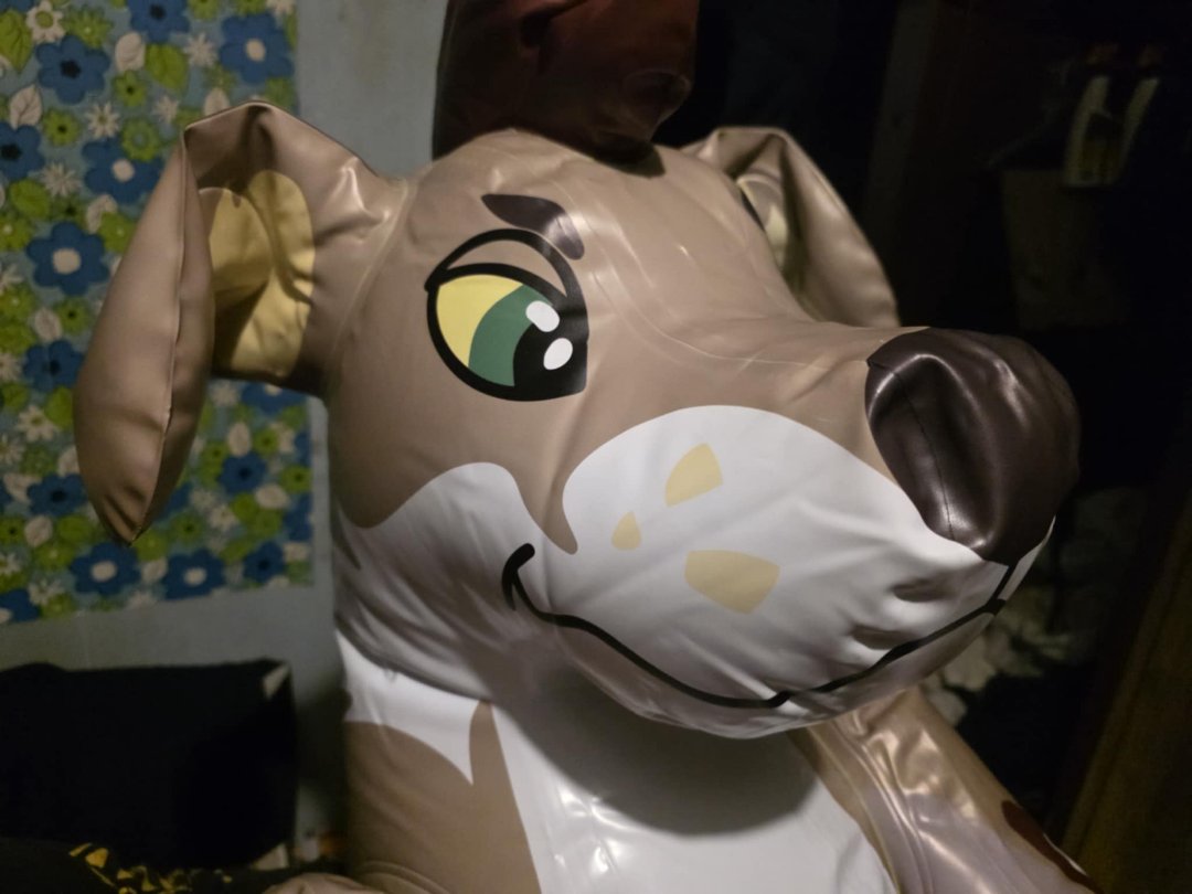 Donutseads's tweet image. Boomer is such a cutie, he&apos;s fitting is nicely with all the squeaky guys.