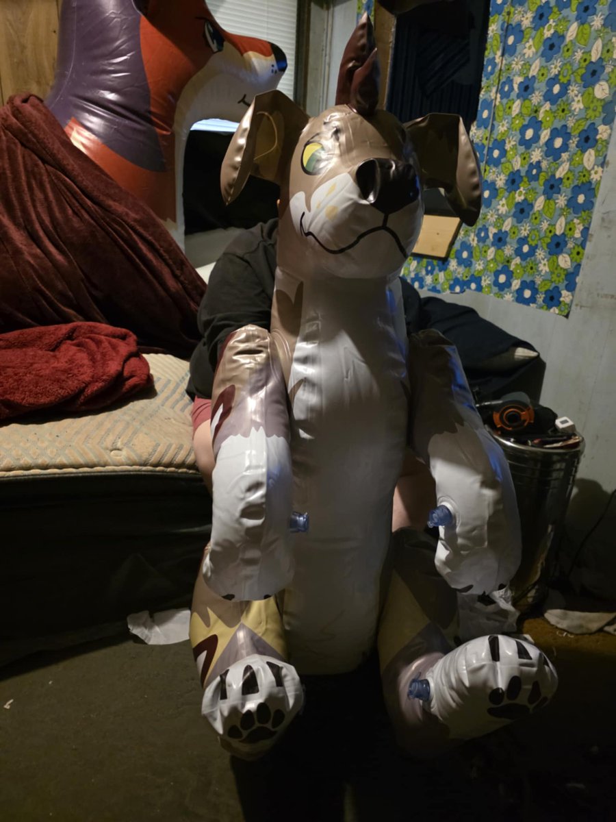 Donutseads's tweet image. Boomer is such a cutie, he&apos;s fitting is nicely with all the squeaky guys.