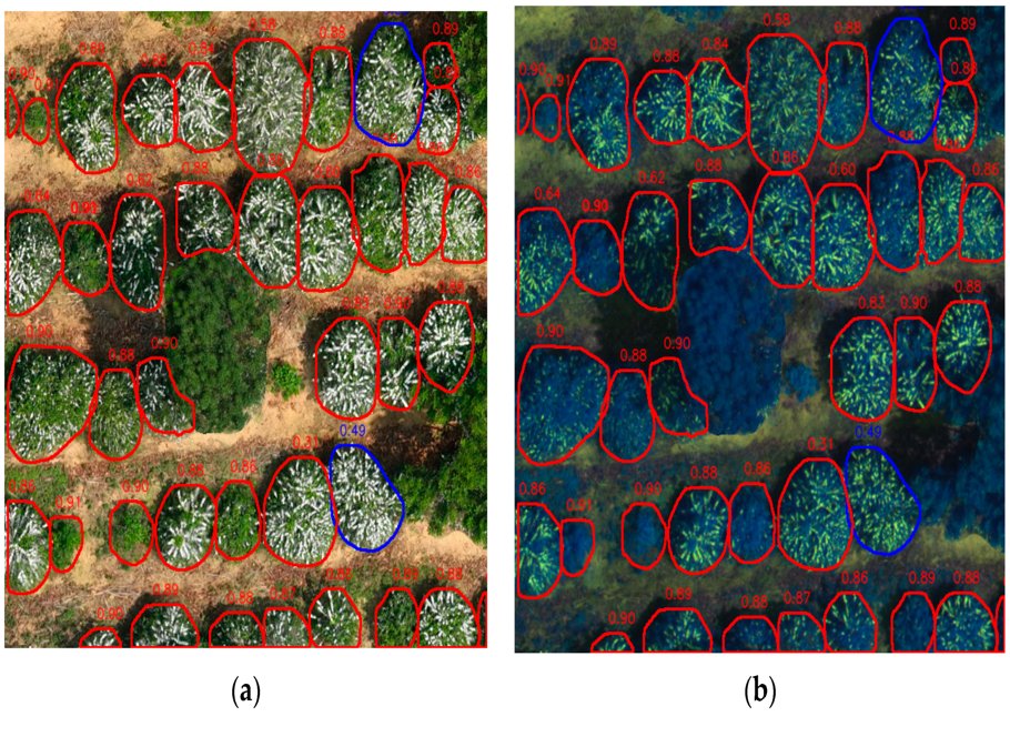 Remote Sensing MDPI tweet media
