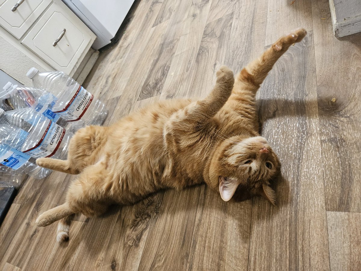 I shall recycle after a snooze session!