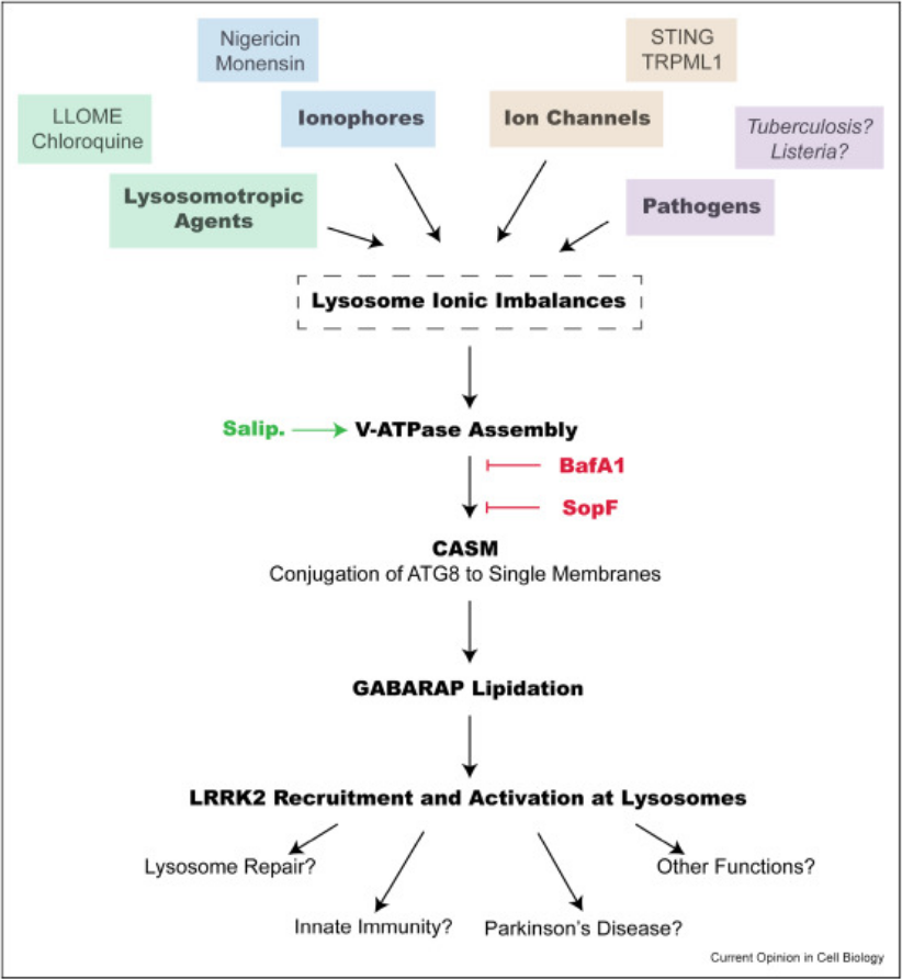 The Science of Parkinson's tweet media