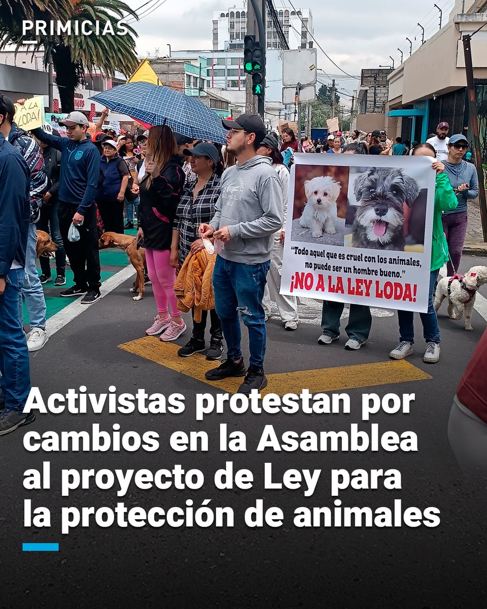 Primicias's tweet photo. Colectivos y activistas se manifestaron en contra del informe para segundo debate de la Ley para la protección de animales que analiza a la Asamblea. Lo califican de un retroceso en derechos. https://t.co/sS8bOEZDt5 https://t.co/eKfqgXTv10