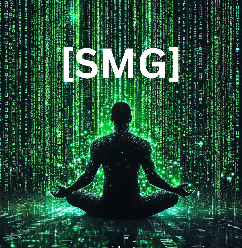 Solana Money Glitch tweet media