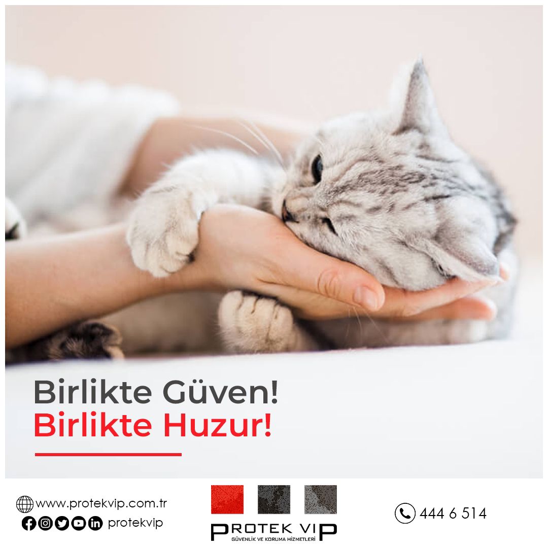 ProtekVip's tweet image. Birlikte Güven! Birlikte Huzur!

Protek Vip Güvenlik ve Koruma Hizmetleri
protekvip.com.tr

🚨 Site Güvenliği
🚨 AVM Güvenliği
🚨 Vip Koruma Hizmetleri
🚨 Organizasyon ve Etkinlik Güvenliği
☎️ 444 6 514

#protekvipgüvenlik #protek #protekvip #sitegüvenliği #istanbul