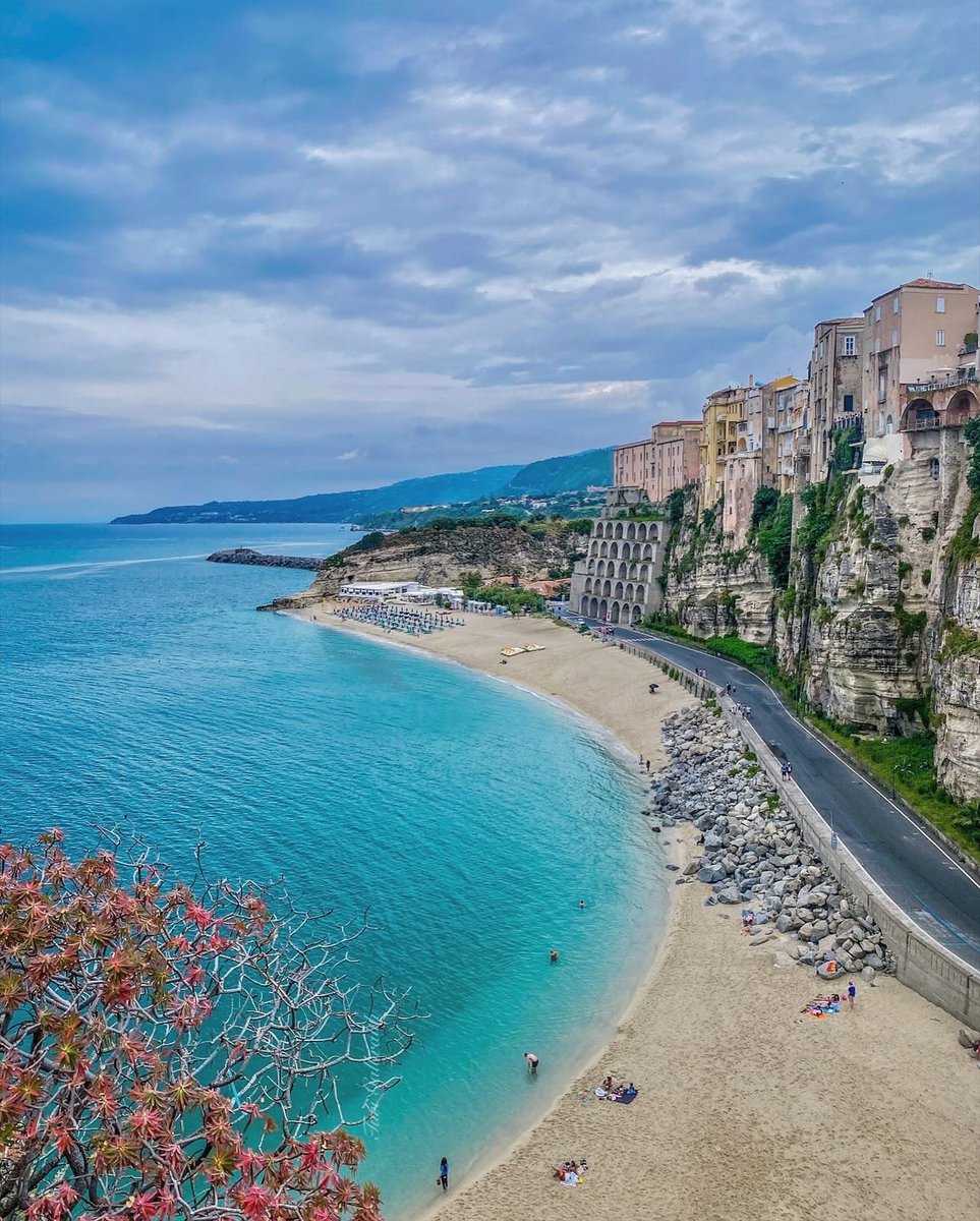 Turi Galbraith tweet media