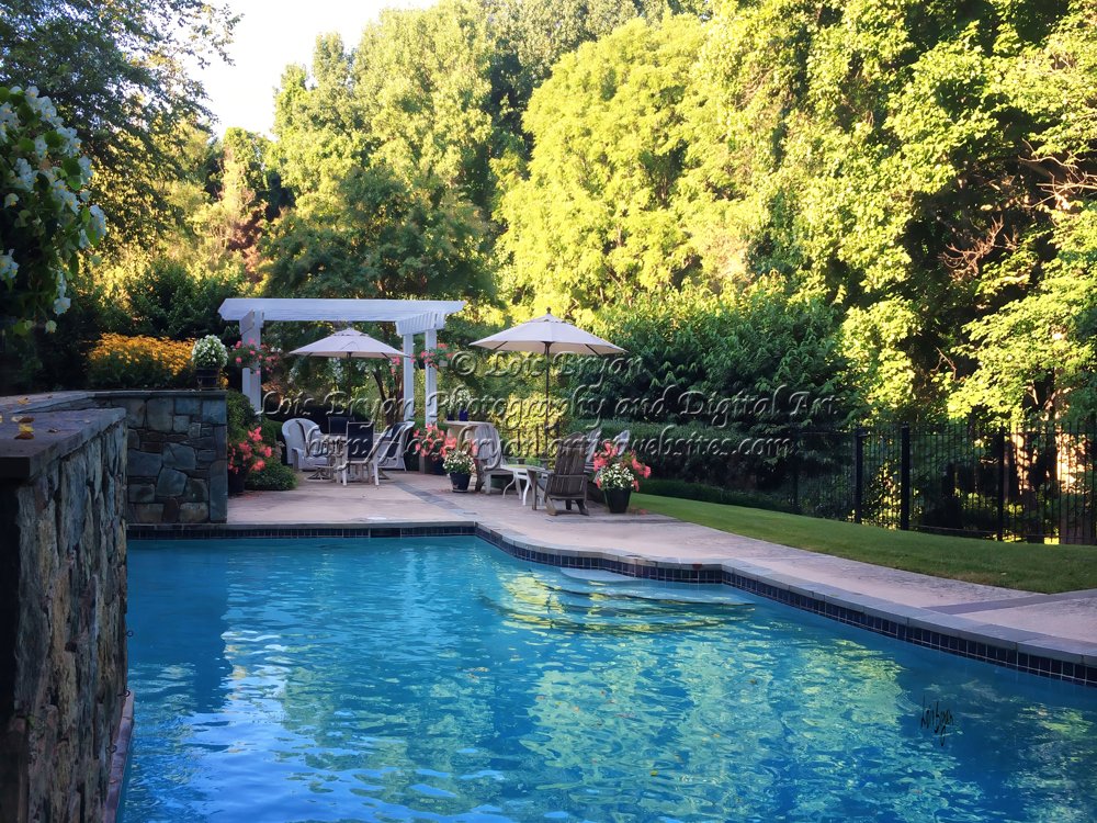 LoisBryanPhotog's tweet image. August Morning ... it's been a looong winter,!  I thought a vision of a pretty summer morning would be welcome!

At my website:  lois-bryan.pixels.com/featured/augus…

#photography #summer #swimmingpools #Maryland #LoisBryan #NotAi