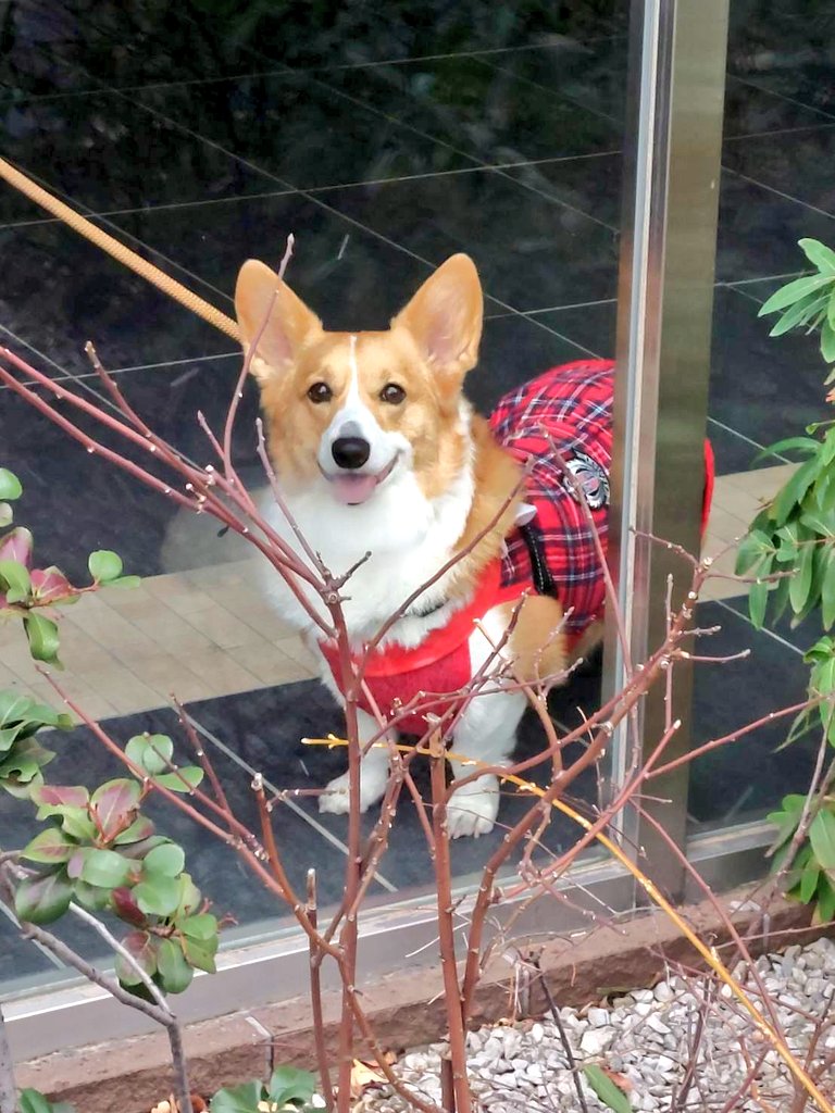 たまにはサブ垢動かさないとなぁ〜