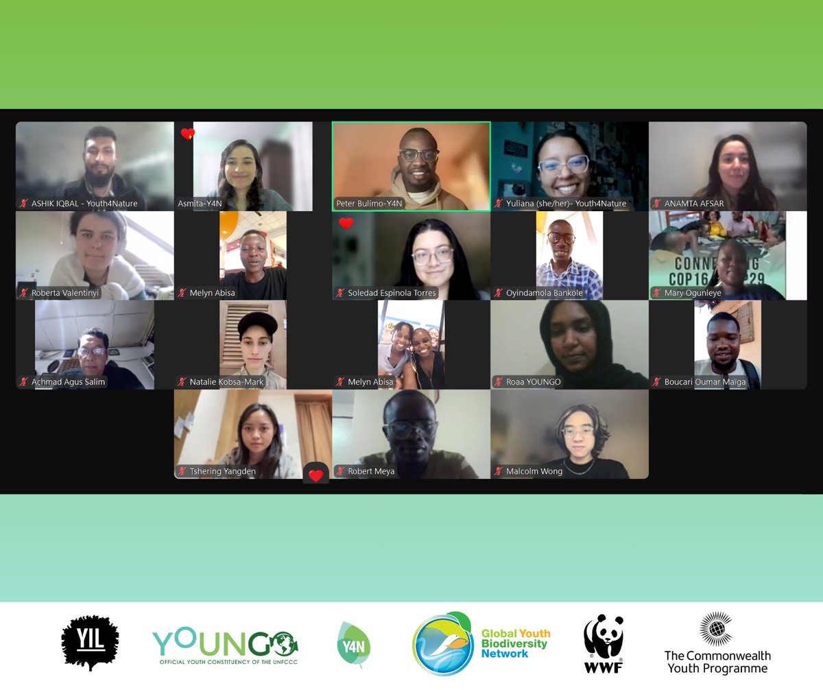 Y4Nature's tweet photo. Thank you to everyone who joined us last week for our Connecting #COP16 &amp; #COP29 webinar! We had a great time &amp; learned so much from our @GYBN_CBD, @youngo_unfccc &amp; @WWF speakers! ✨🙌

The recording is now online: https://t.co/xjge3oM69R. Let's keep it up on the road to #COP30! https://t.co/lP7MTm9tpp