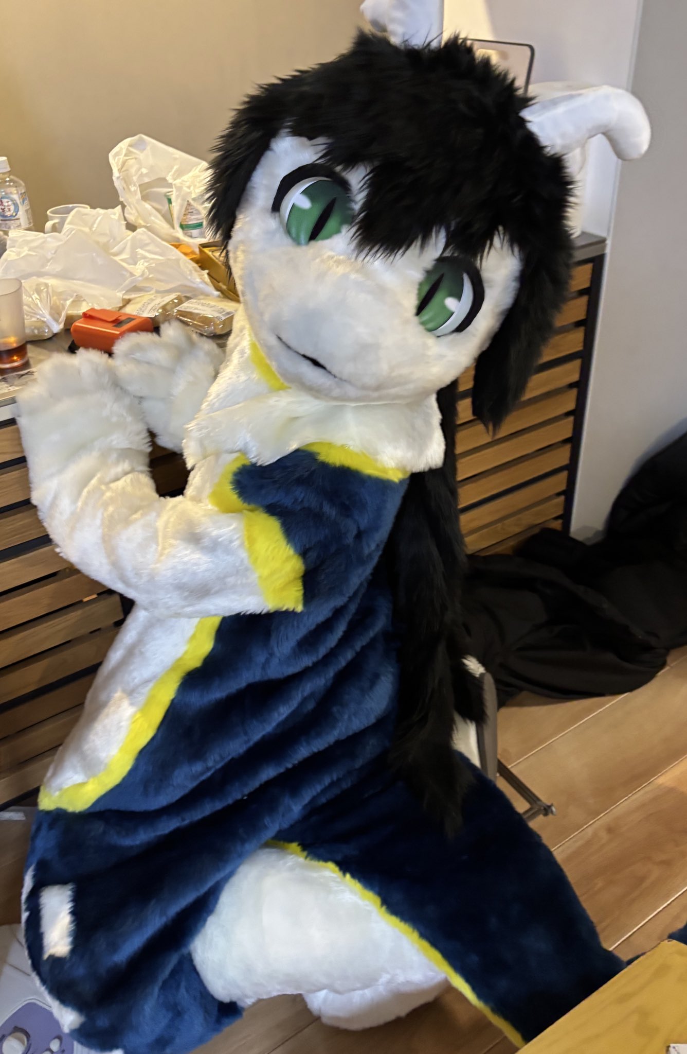 さぐーな(Saguna)🦈 (@wha_shark52) / X