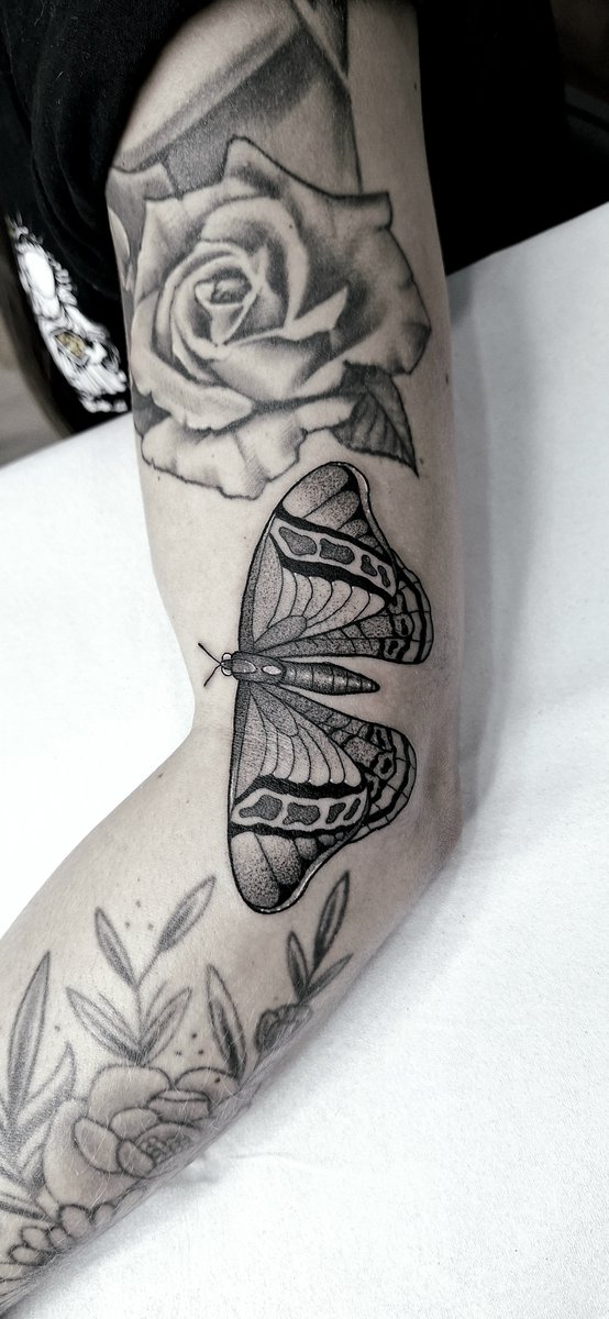 Tatuador de Anime 愛 tweet media