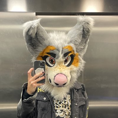 #NewProfilePic #FursuitEveryday #furry