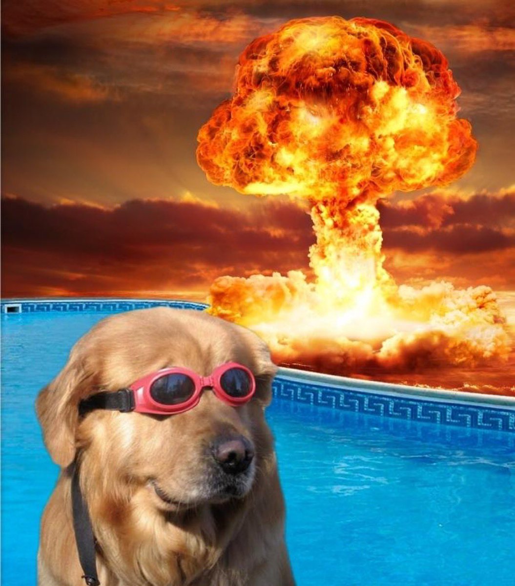 chrissyb_sol's tweet photo. @gordongekko Preact the $DIP Gordon @doginthpool https://t.co/2cOonRO3QL