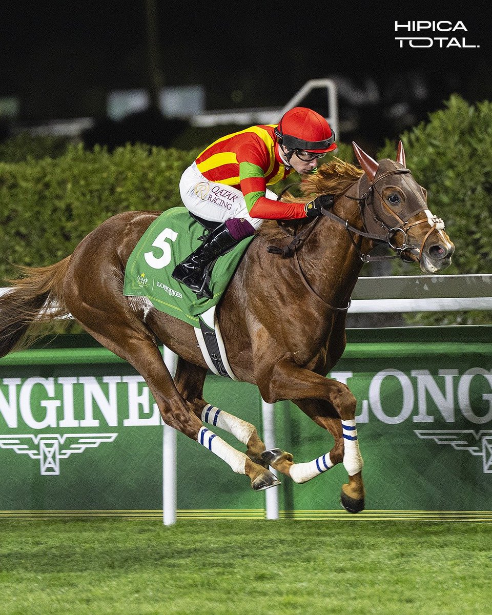 Murphy &amp; japan horses. Perfect combination