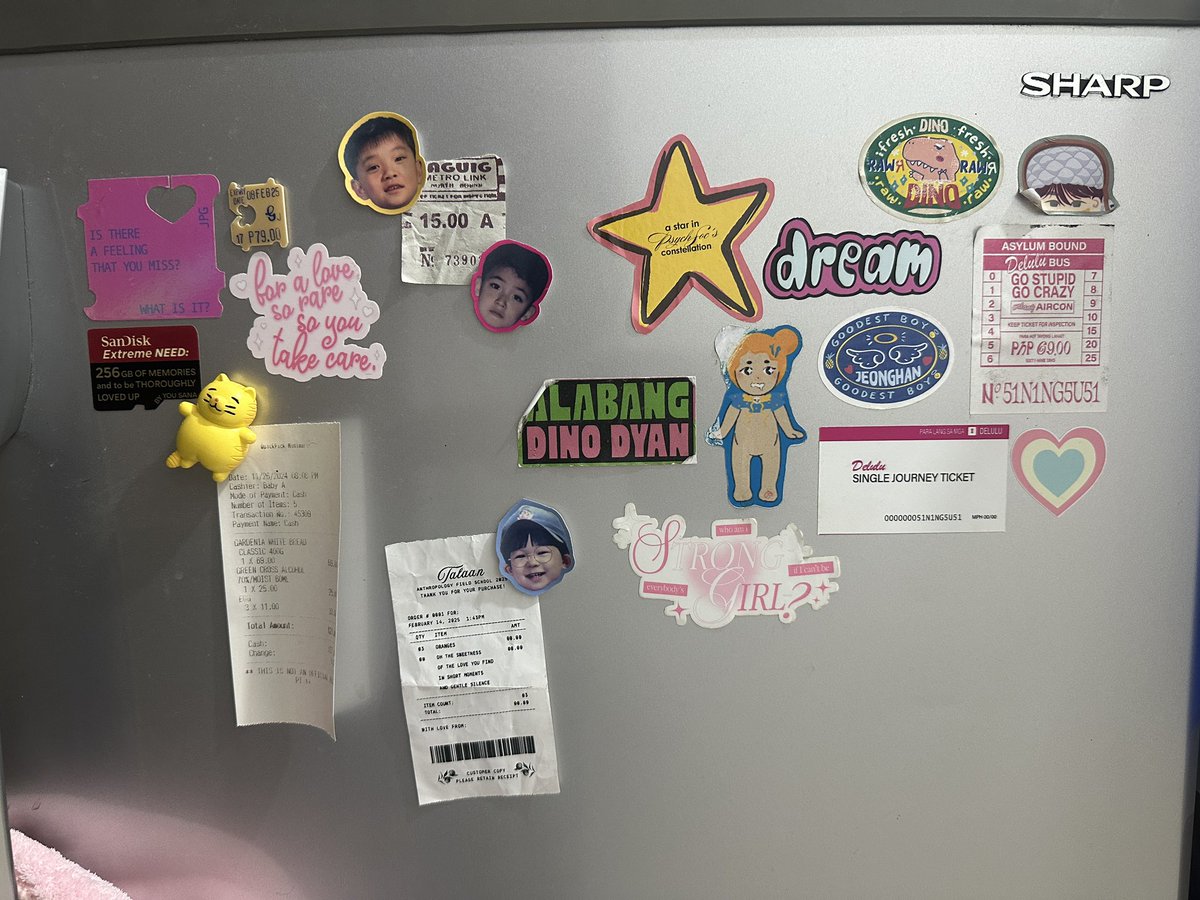 ourcaiv's tweet photo. fridge of a yearner https://t.co/NID3AiLSSU