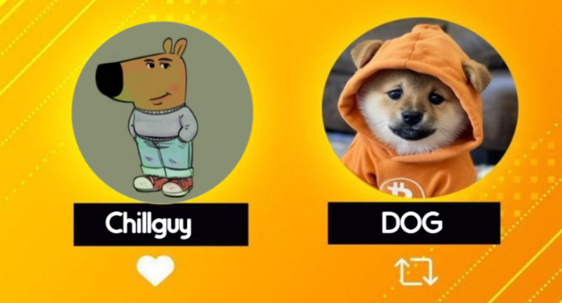 Wich you prefer ???

 #chillguy or $DOG ? 👀