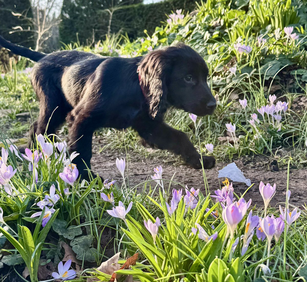 Lowri Bowen tweet media