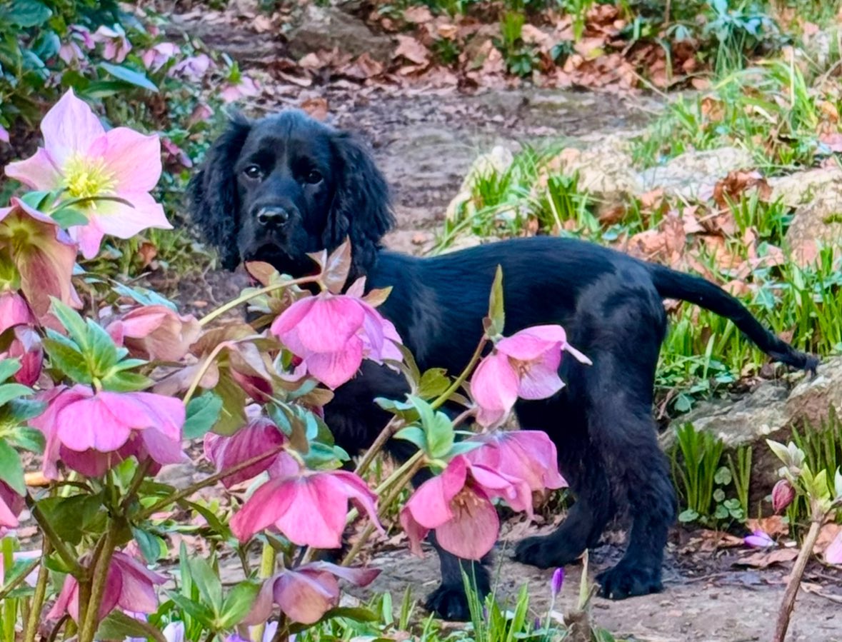 Lowri Bowen tweet media