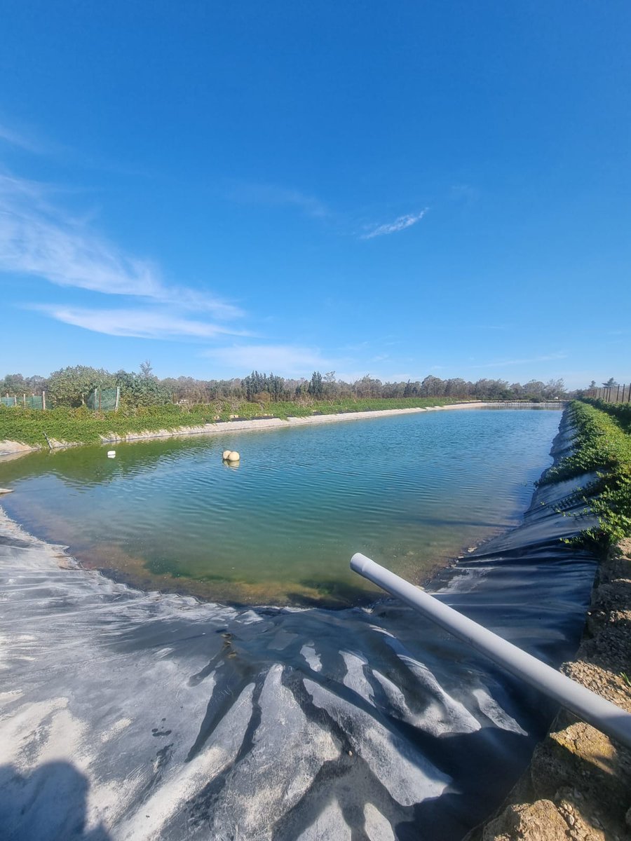 SureNexus tweet media