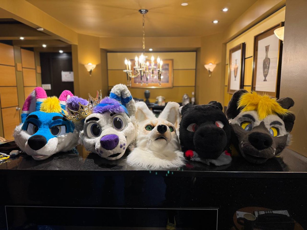 So much floof in Quebec City.

<a href="/Jastes33/">Jastes 🔜 MFF?/FE</a> <a href="/AmyteMusic/">Amyte | WAKNM EP releases 08.01.2025!</a> <a href="/TonicYeen/">Yeen & Tonic</a> <a href="/GhostWGS/">Taibhse</a>

#FursuitEveryday