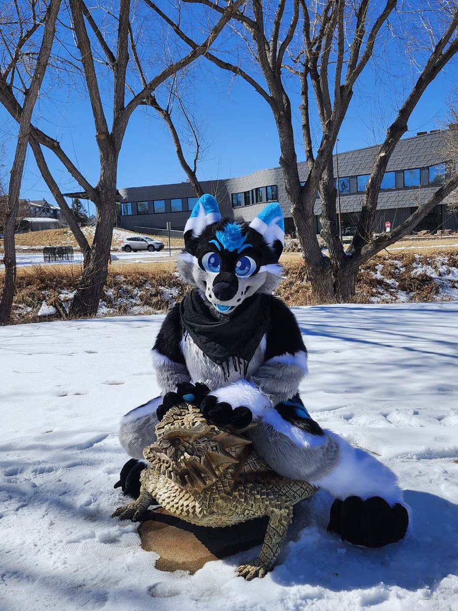 Akari 🚗DenFur (@lil_wusky) on Twitter photo Belated Fursuit Friday pic went to a new meet today and had a really fun time 💙
Pic by <a href="/Nala_Elephant/">Nala The Elephant 🐘 Team Fossil 🦖</a> Belated Fursuit Friday pic went to a new meet today and had a really fun time 💙
Pic by <a href="/Nala_Elephant/">Nala The Elephant 🐘 Team Fossil 🦖</a>