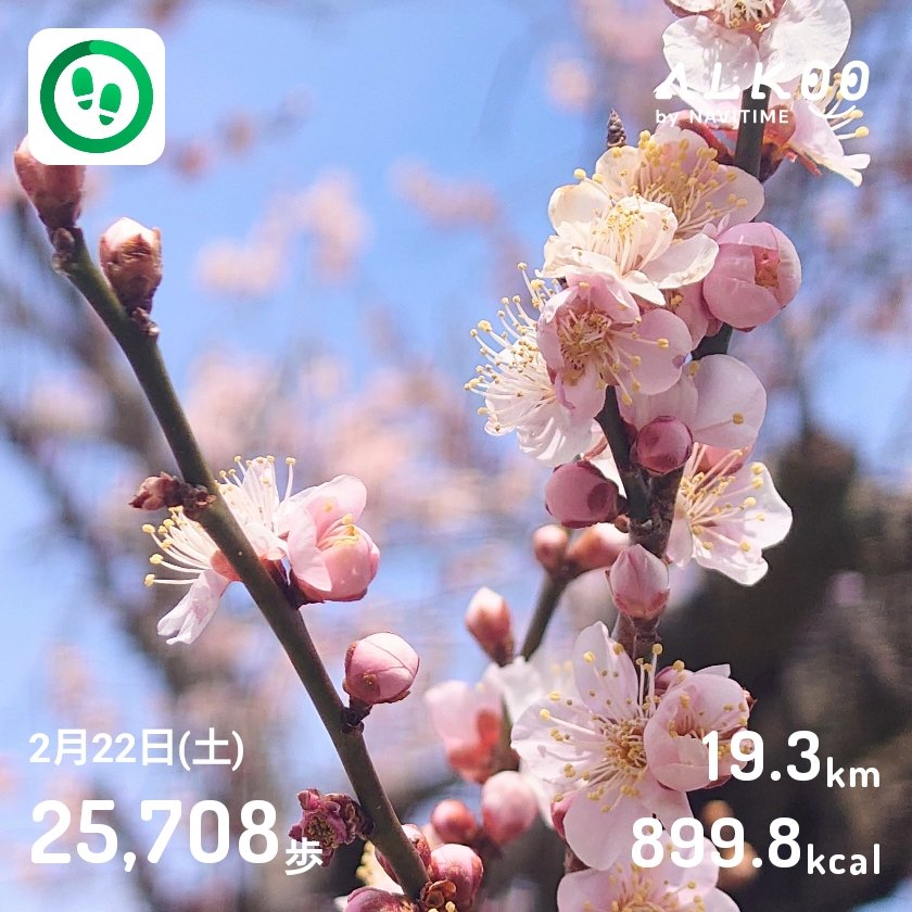 sysmtp's tweet image. 昨日19km歩いたのか！
ハイキングのコース自体は往復で10kmくらいだったけど、色々寄り道したからかな
#ALKOO
static.cld.navitime.jp/walkingapp-sto… #ALKOOで歩こう