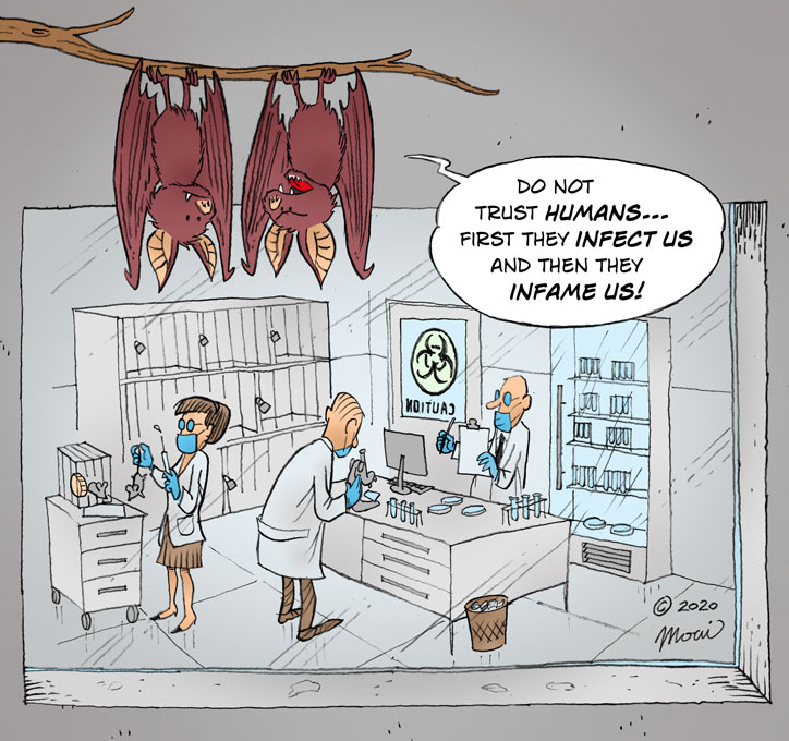 For the series: "the more I know people, the more I love animals!" 🔬🧬🦇

#Bats #COVID19 #Wuhan #HKU5 #BigPharma #NoVaccineMandates #IdoNotForget