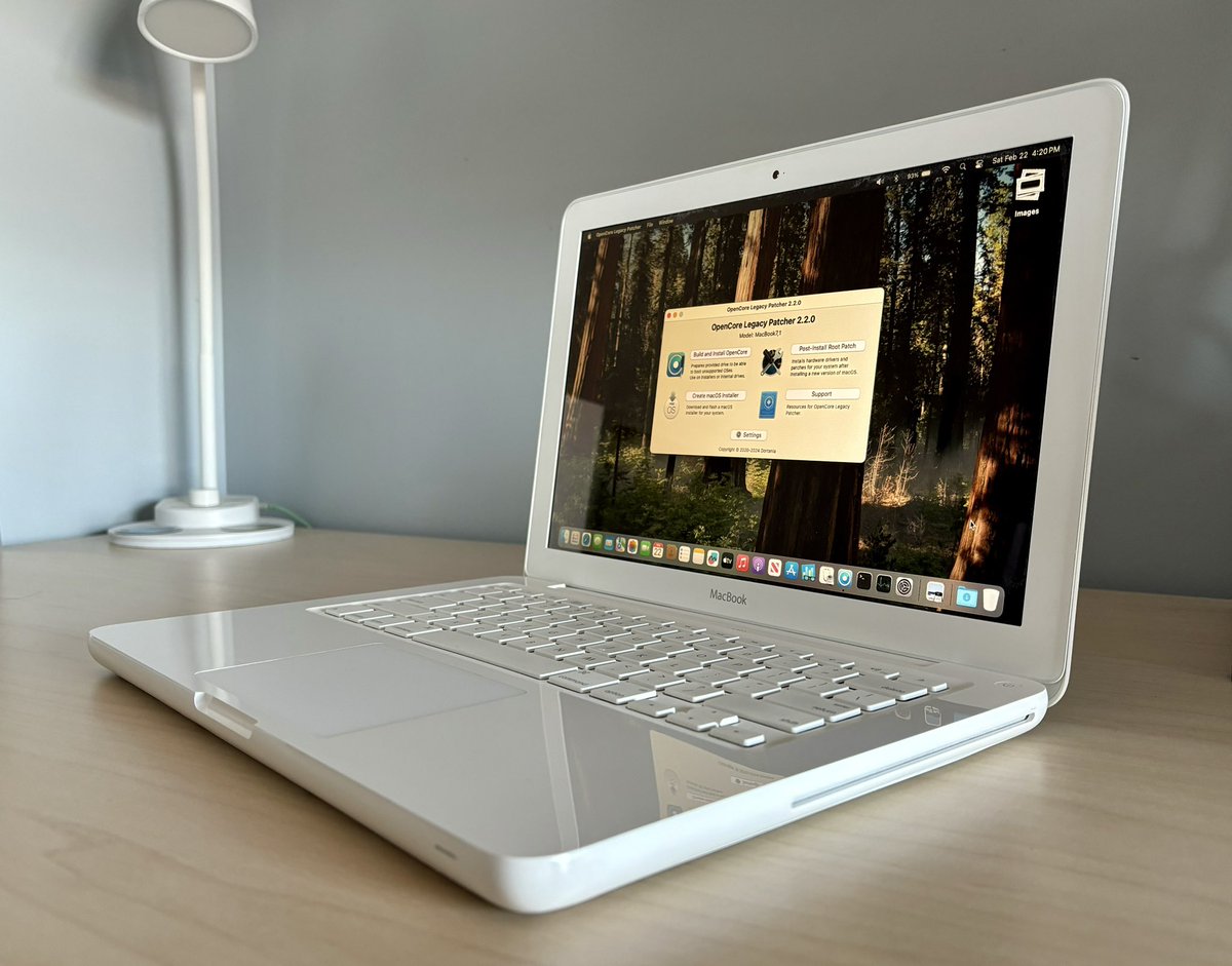 MacBook (13-inch, Mid 2010) ❤️