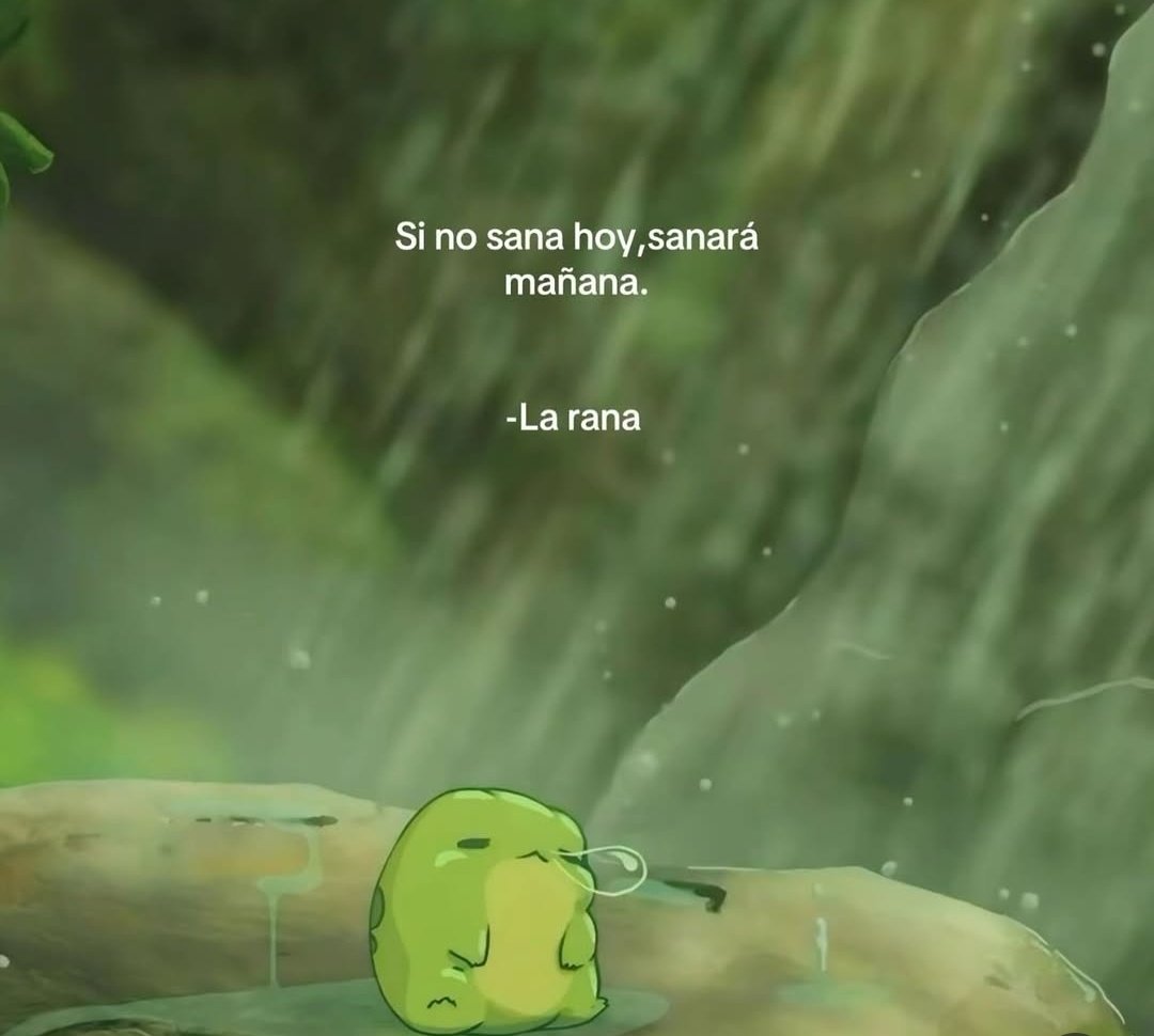 MiniAnimales's tweet photo. https://t.co/fzpOoZUaHx