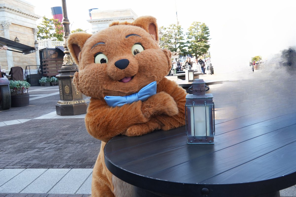 ParadiseProject's tweet image. 東京ディズニーシー

可愛い猫ちゃんに出会いました🐈

#写真好きな人と繋がりたい
#写真撮っている人と繋がりたい
#カメラ好きな人と繋がりたい
#トゥルーズ 
#東京ディズニーシー 
#キャラクターグリーティング