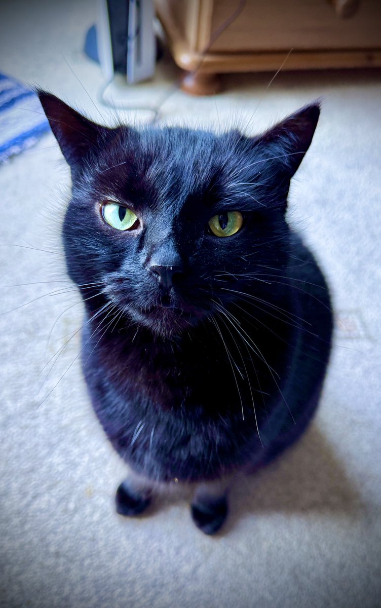 David Acford tweet media