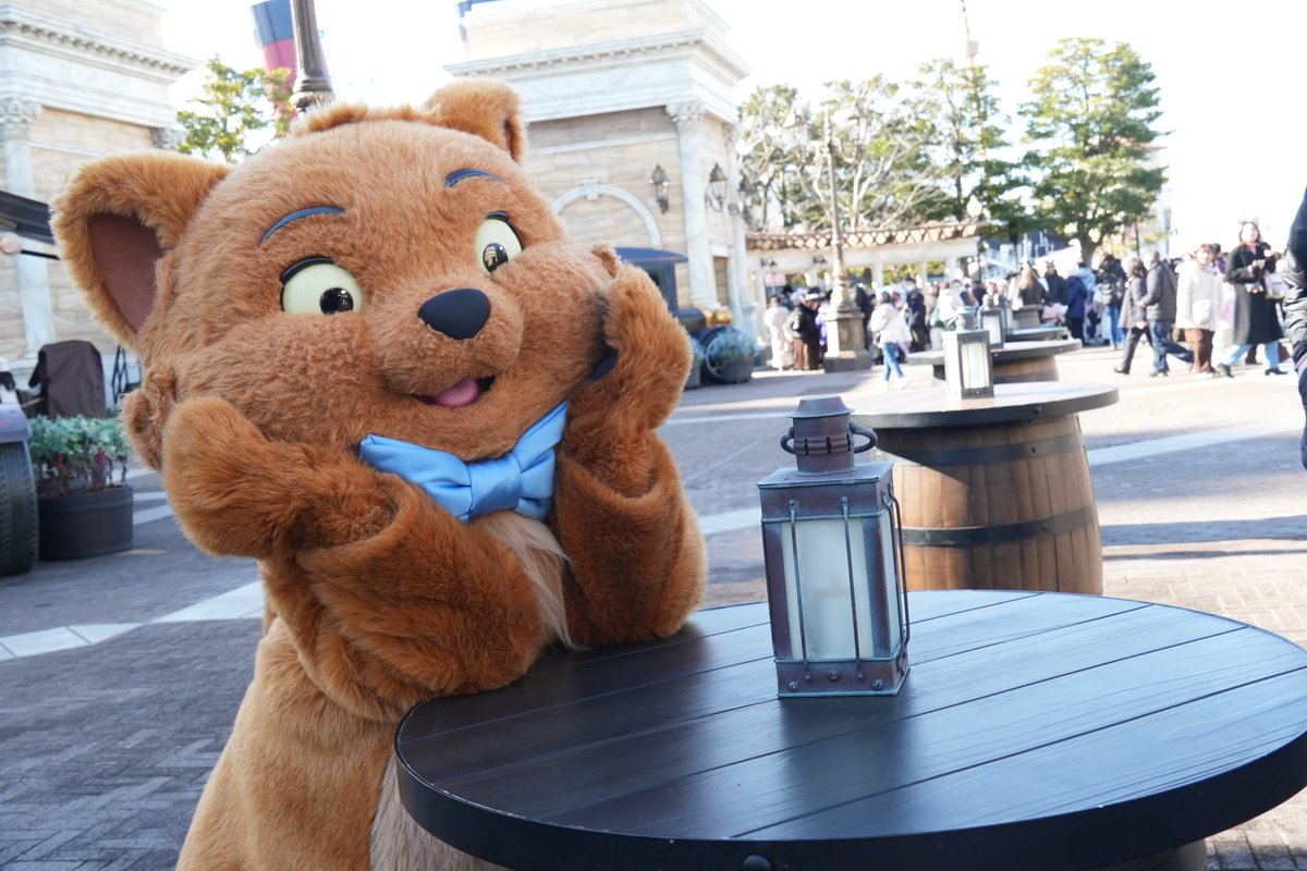 ParadiseProject's tweet image. 東京ディズニーシー

可愛い猫ちゃんに出会いました🐈

#写真好きな人と繋がりたい
#写真撮っている人と繋がりたい
#カメラ好きな人と繋がりたい
#トゥルーズ 
#東京ディズニーシー 
#キャラクターグリーティング