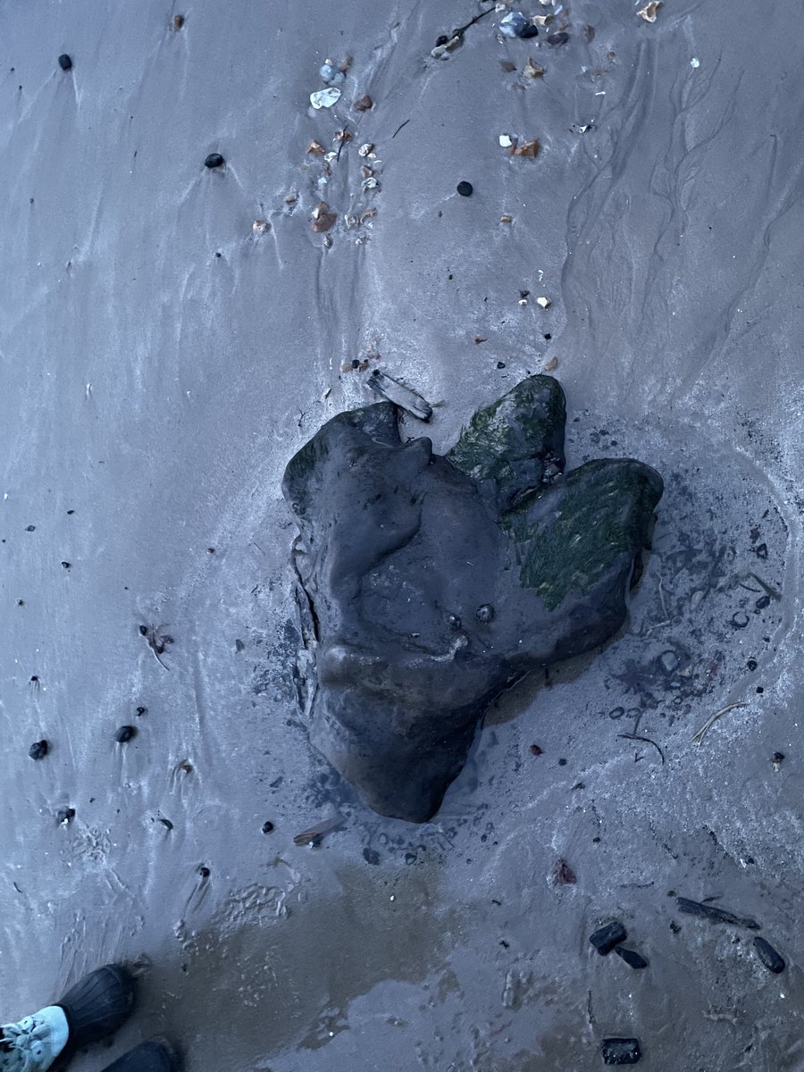 Ivar Abrahamsen tweet media