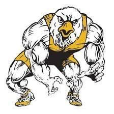 Region 8 H.S Wrestling
Johnson Central with 12 Wrestlers in their Wt Class Finals and another Wrestler finished in 3rd Place.  All 13 JC Wrestlers are State Qualifiers. JC is Also in 1st Place Overall, Martin Co in 2nd. Another Yr on the Reg. Championship Banner #18 In A Row!