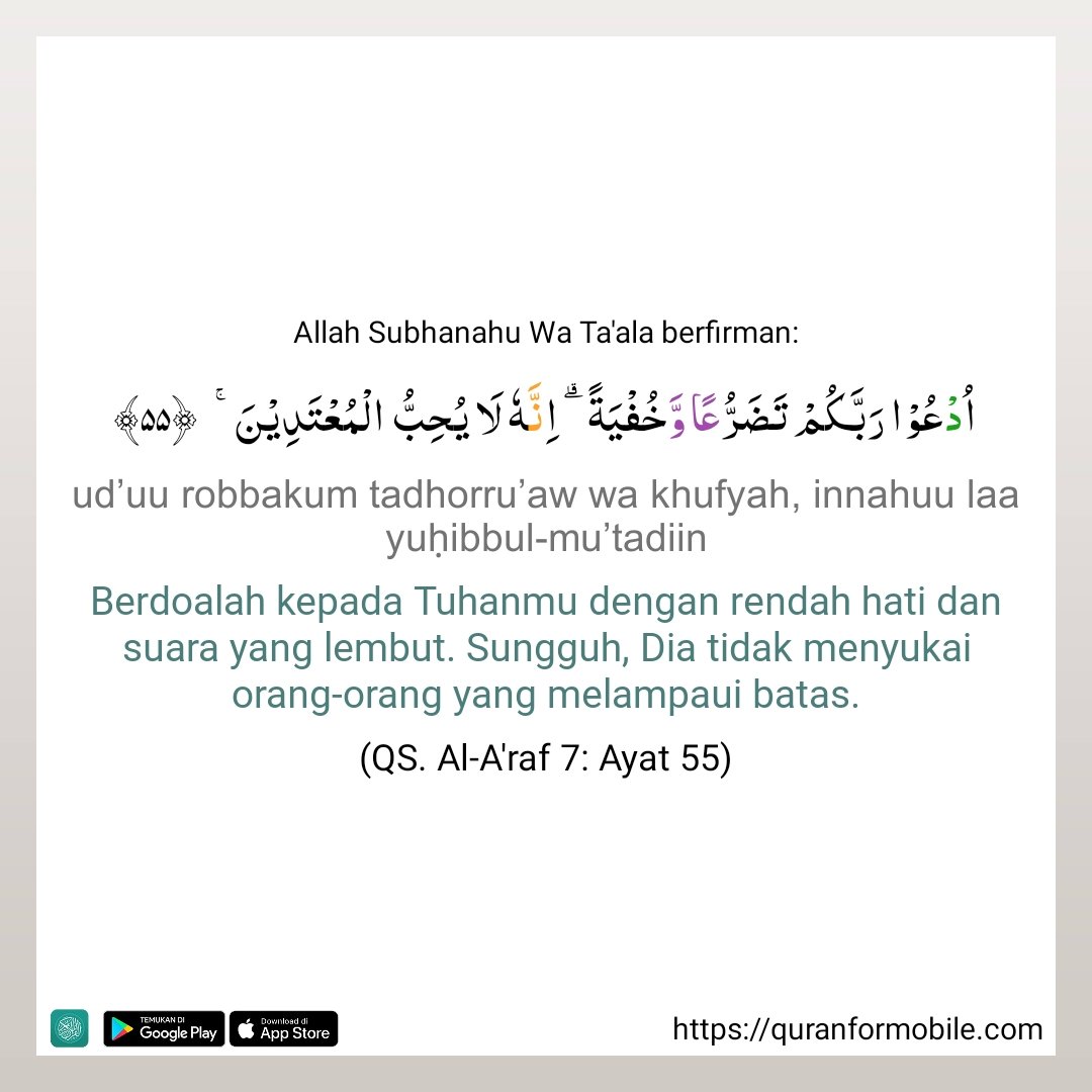 SHANDY TV tweet media