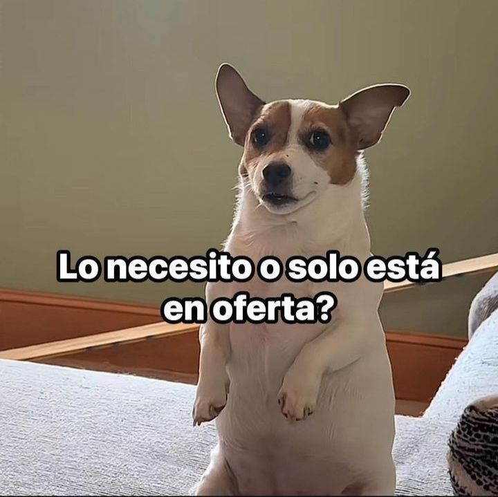 Lapatrona177's tweet image. ¿Lo necesito o solo está en oferta? 🤔💳 
#CompraResponsable #Finanzas #FinanzasConEstilo #EducaciónFinanciera