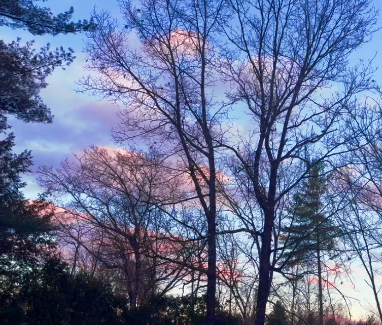 just_chantel_'s tweet image. it is a privilege to redefine what is possible