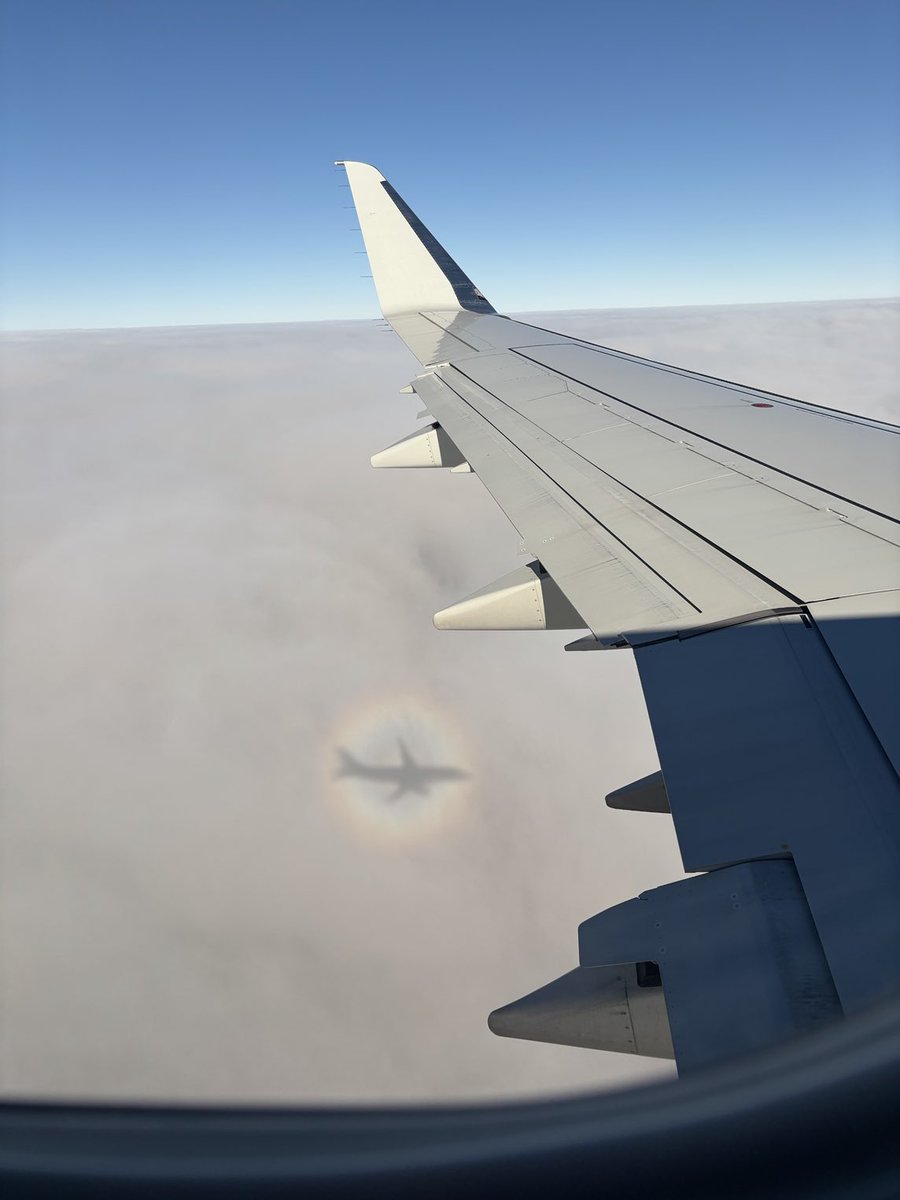 Toby Akers tweet media