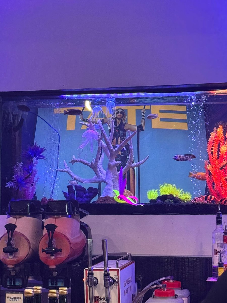 the fish had a front row seat at Tate brunch…