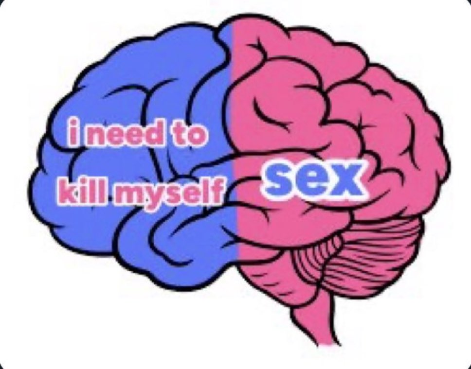 Content from ev0leve