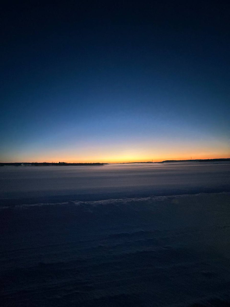 annroshko 🐉 $MON tweet media